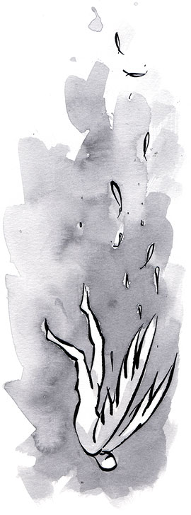 Burnout