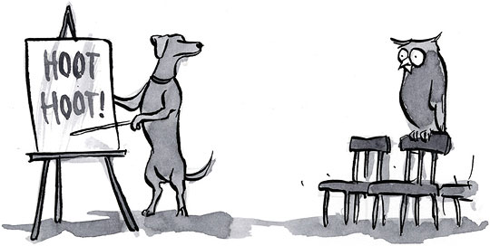 Can You Say That in English? Explaining UX Research to Clients