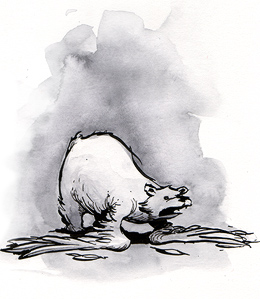 illustration in which a bear sprouts an unnecessary set of wings