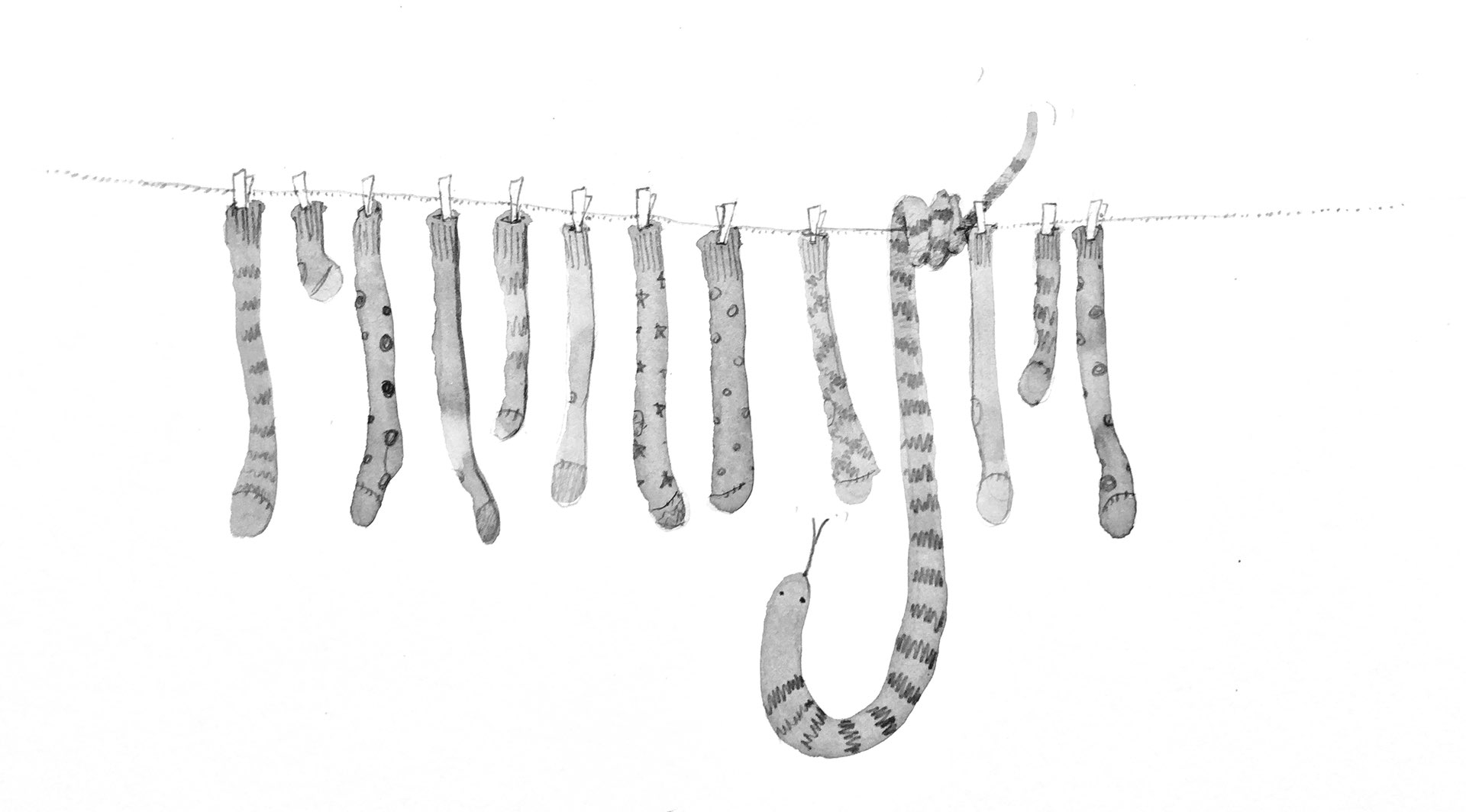 A random assortment of socks hangs from a line with a sneaky, slithery companion hiding among them. Will our hero discover the snake before it's too late?