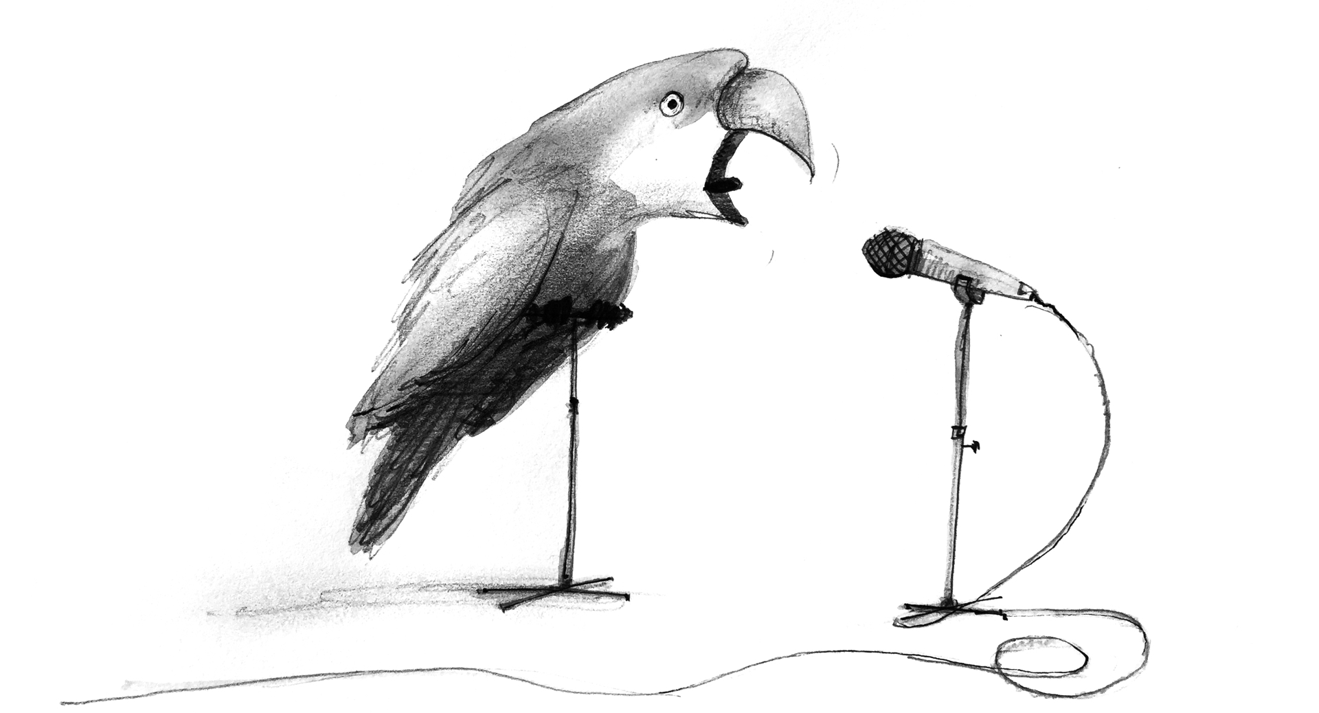 Illustration: A parrot offers advice and answers to all the best questions into a nearby microphone.