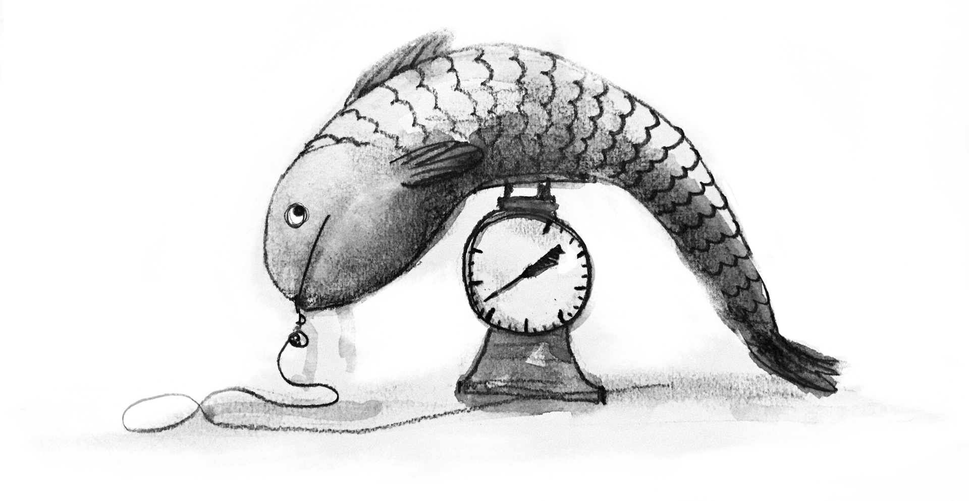 A large dead fish lying on a scale